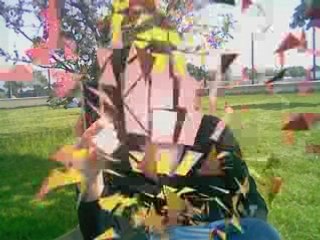 Morgane fleurance priscillia