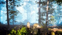 Natures Superpowers Sixth Sense Disaster Foresight