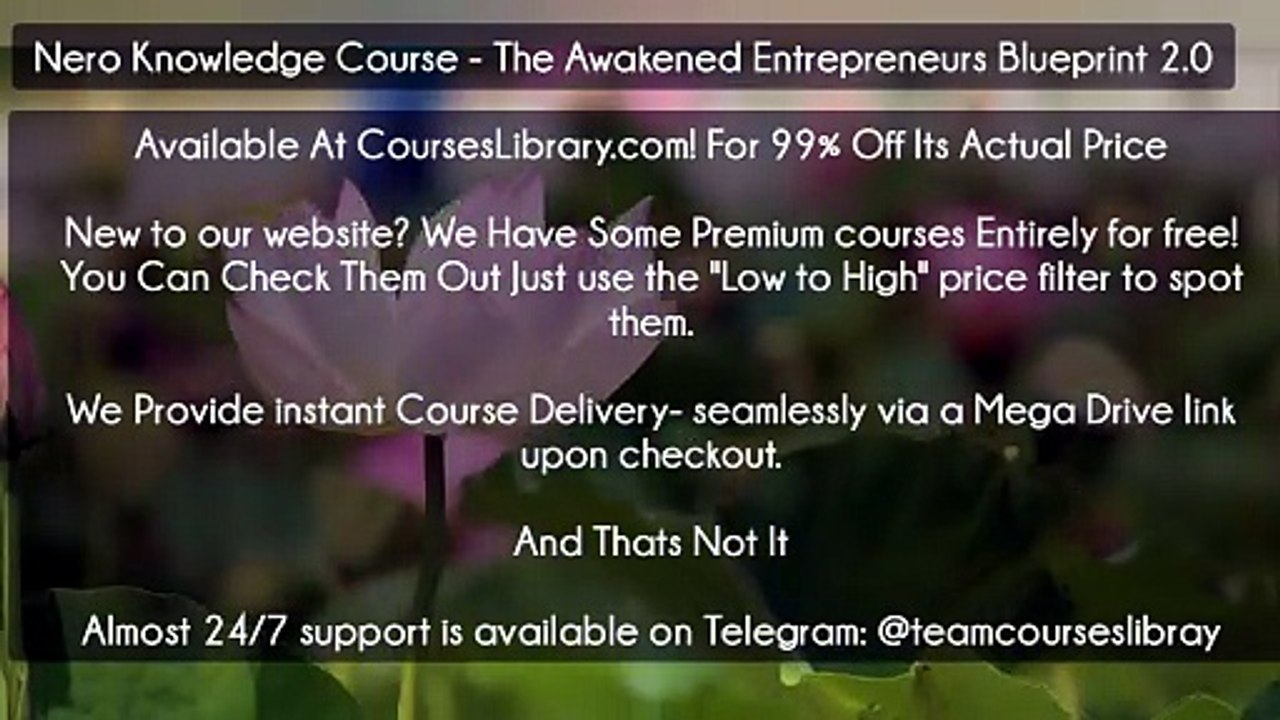 (Courseslibrary.com)Nero Knowledge Course - The Awakened Entrepreneurs Blueprint 2.0