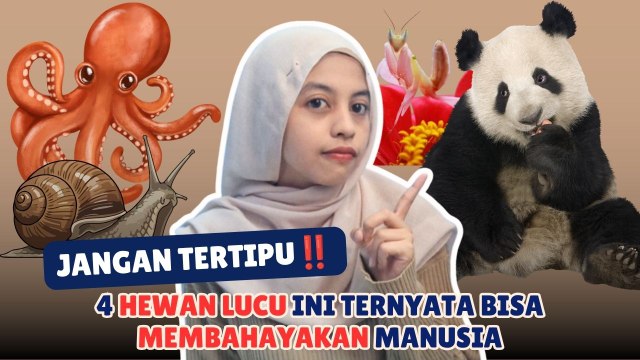 Jangan Tertipu! 4 Hewan Lucu Ini Ternyata Bisa Membahayakan Manusia-Serius Ini Hewan?