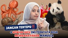 Jangan Tertipu! 4 Hewan Lucu Ini Ternyata Bisa Membahayakan Manusia-Serius Ini Hewan?