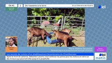 10/06/2026 - ici matin par ici Bourgogne en vidéo