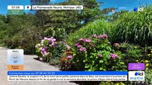 10/06/2026 - ici matin par ici Gascogne en vidéo