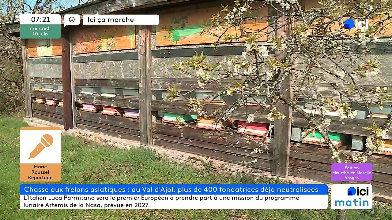 10/06/2026 -  ici matin par Ici Lorraine (Meurthe-et-Moselle et Vosges) en vidéo