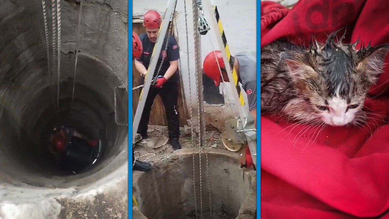 Kuyuya düşen yavru kedi kurtarıldı