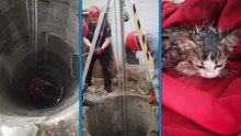 Kuyuya düşen yavru kedi kurtarıldı