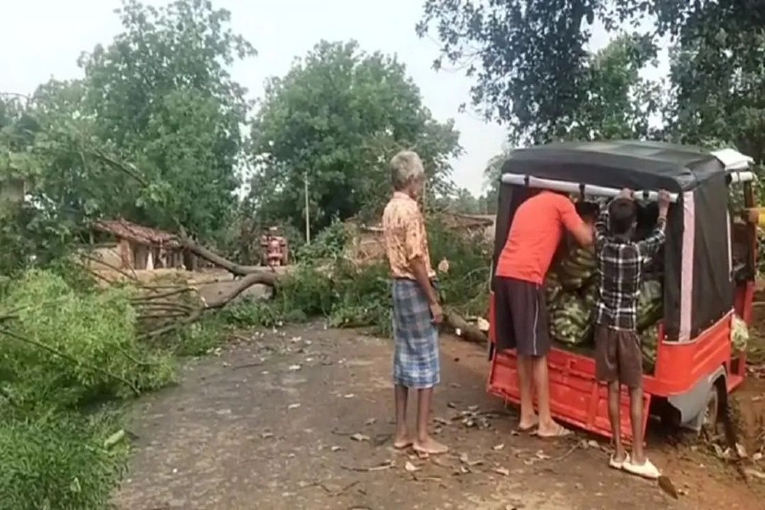 सरगुजा में आंधी-बारिश ने मचाई तबाही, ढहा घर, उखड़ गए कई पेड़ और बिजली के खंभे, Video में देखें मंजर