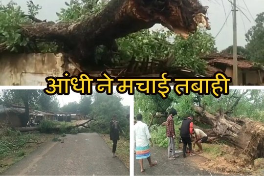Storm Havoc in Surguja: सरगुजा में आंधी-बारिश ने मचाई तबाही, ढहा घर, उखड़ गए कई पेड़ और बिजली के खंभे, Video में देखें मंजर
