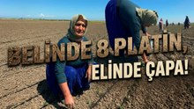 Belinde 8 platin var, 70 yaşında ama tarlada ekmeğini kazanıyor