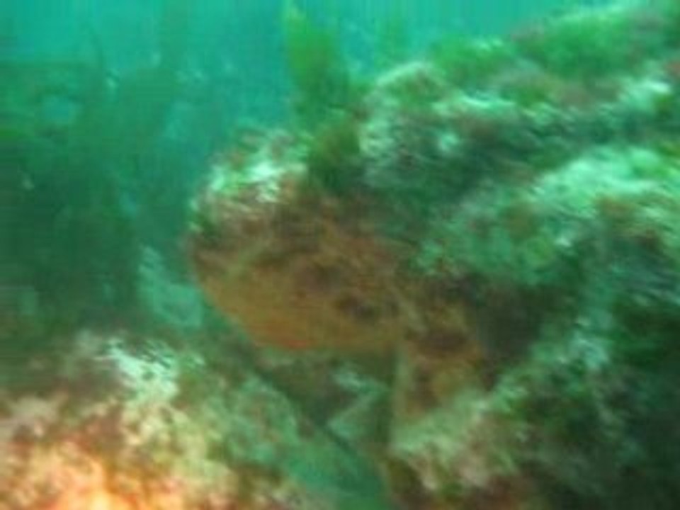 15metres