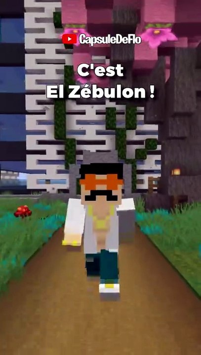 Minecraft Humour : Le message ultra important d'El Zebulon ! 🌊🎙️