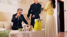 On The Run, CEO Falls Into a 5YO's Trap By Accident - Had No Clue She's His Own Daughter [Full Movie] [Full Series]Full EP - Full