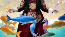 짤짤짤