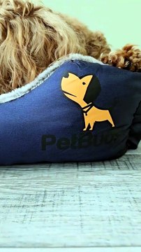 Durable Chew Resistant Dog Bed | Comfortable & Long-Lasting Dog Bed UK