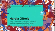 Harala Gürele – Erol Sunat