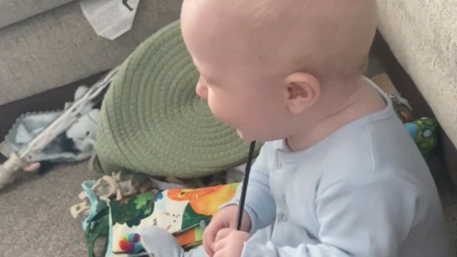 Delightful baby's happiness shines while interacting with Maine Coon kitten