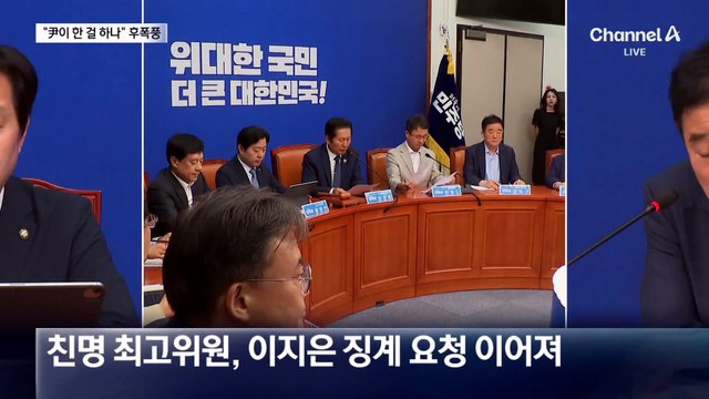 “대통령, 尹처럼 하시는 건가”…민주당 대변인 사퇴