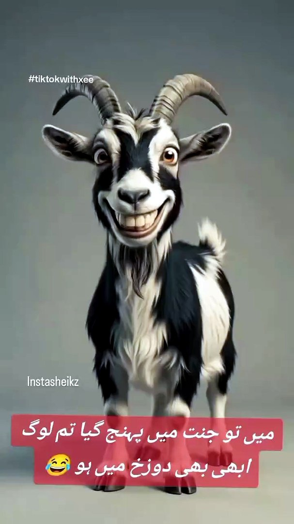 ⁣#goat