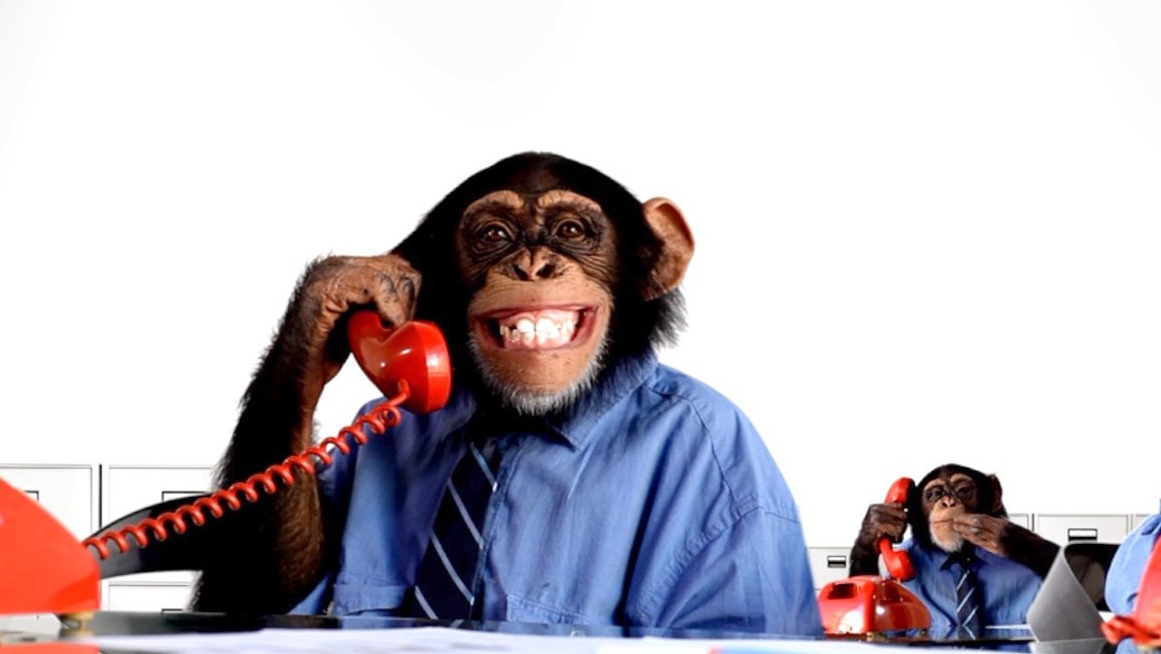 Chimps and babies share a sign-language-like co...