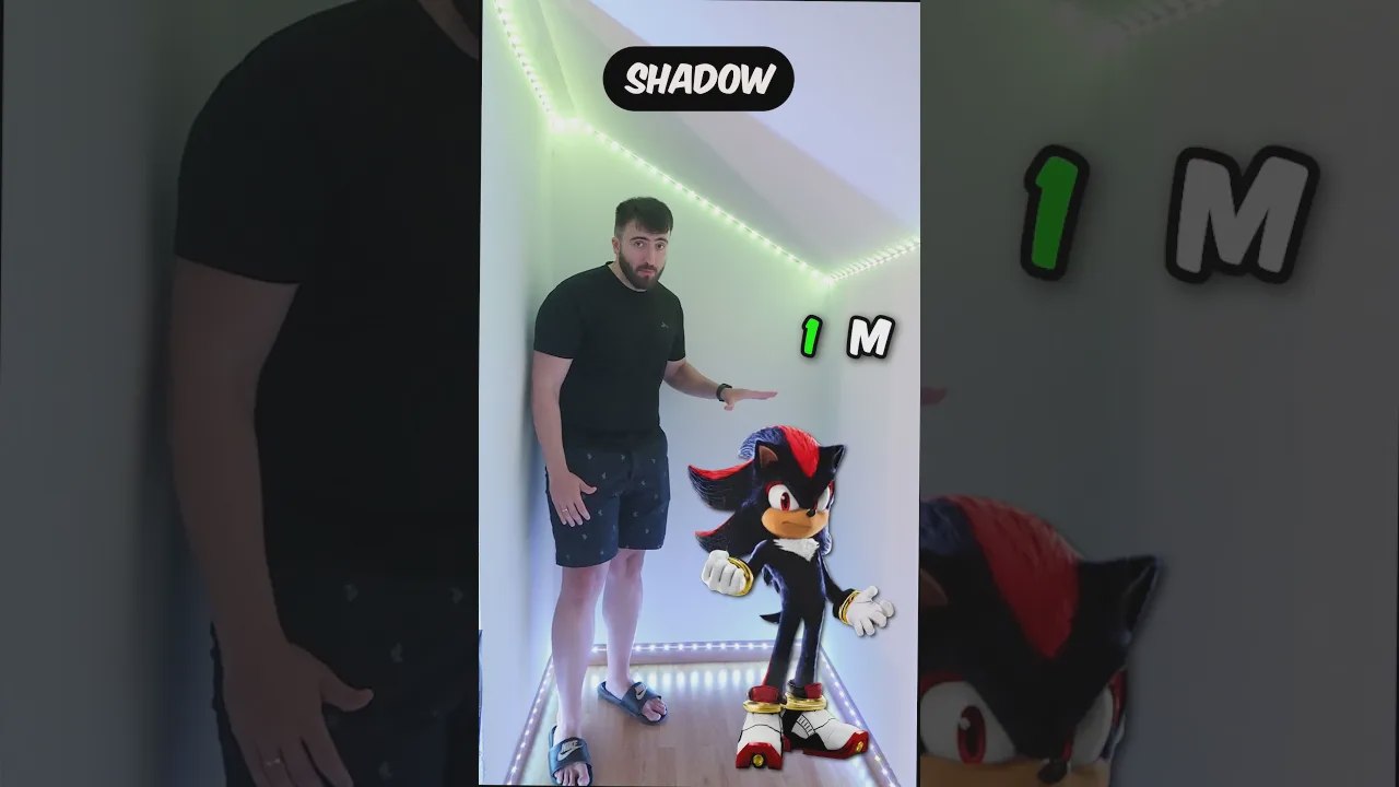 How Tall Are the Sonic Characters?