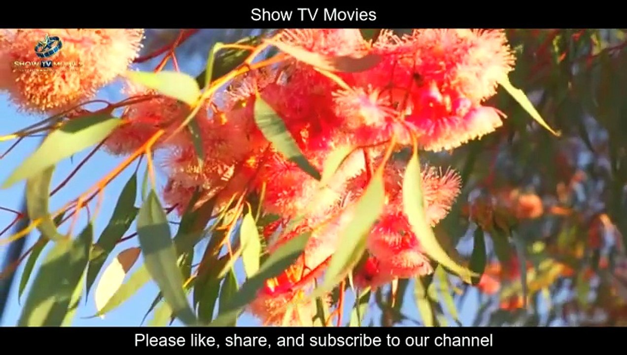 The Farmer Wants a Wife Season 15 Episode 15