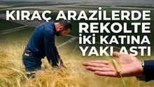 Konya Ovası’nda hububat üretimi yeniden yükselişte: Verim iki katına yaklaştı