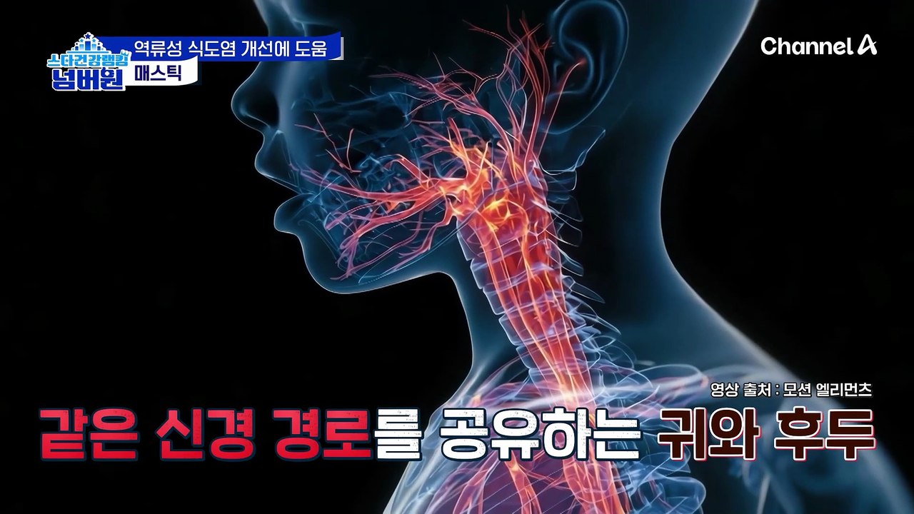 역류성 식도염 개선에도 도움이 되는 매스틱!