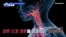 역류성 식도염 개선에도 도움이 되는 매스틱!