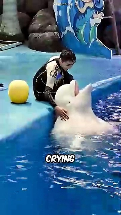 🐋 Incredible Beluga Whale Facts You Never Knew! ❄️