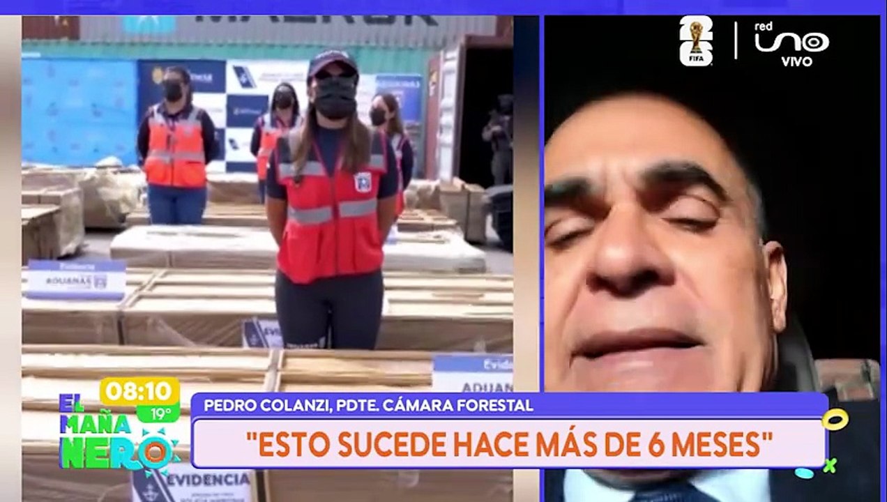 Narcomadera golpea a sector forestal