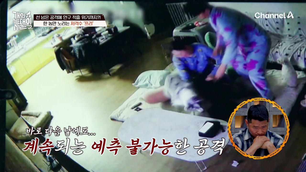 가해견은 '망고'가 아니었다?! 밥그릇 앞에서 드러난 '프리'의 본색!