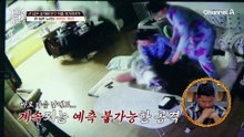 가해견은 '망고'가 아니었다?! 밥그릇 앞에서 드러난 '프리'의 본색!