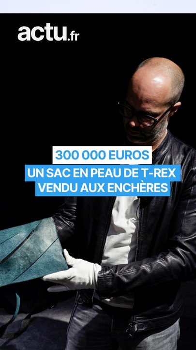 Un sac en peau de T-Rex vendu aux enchères