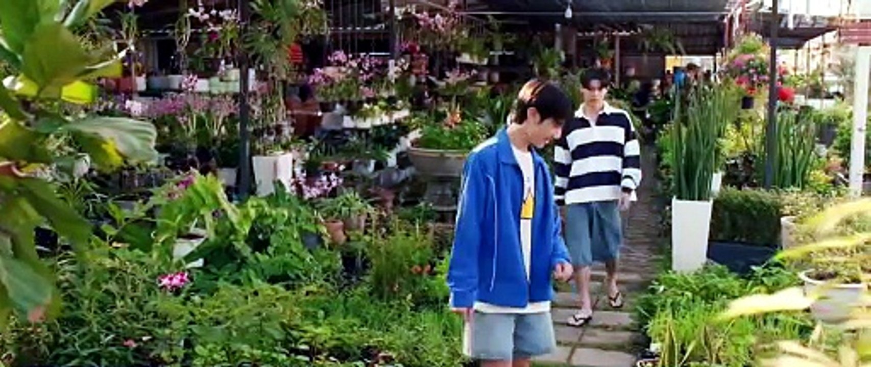 When Oranges Fall Ep 5 | English Sub