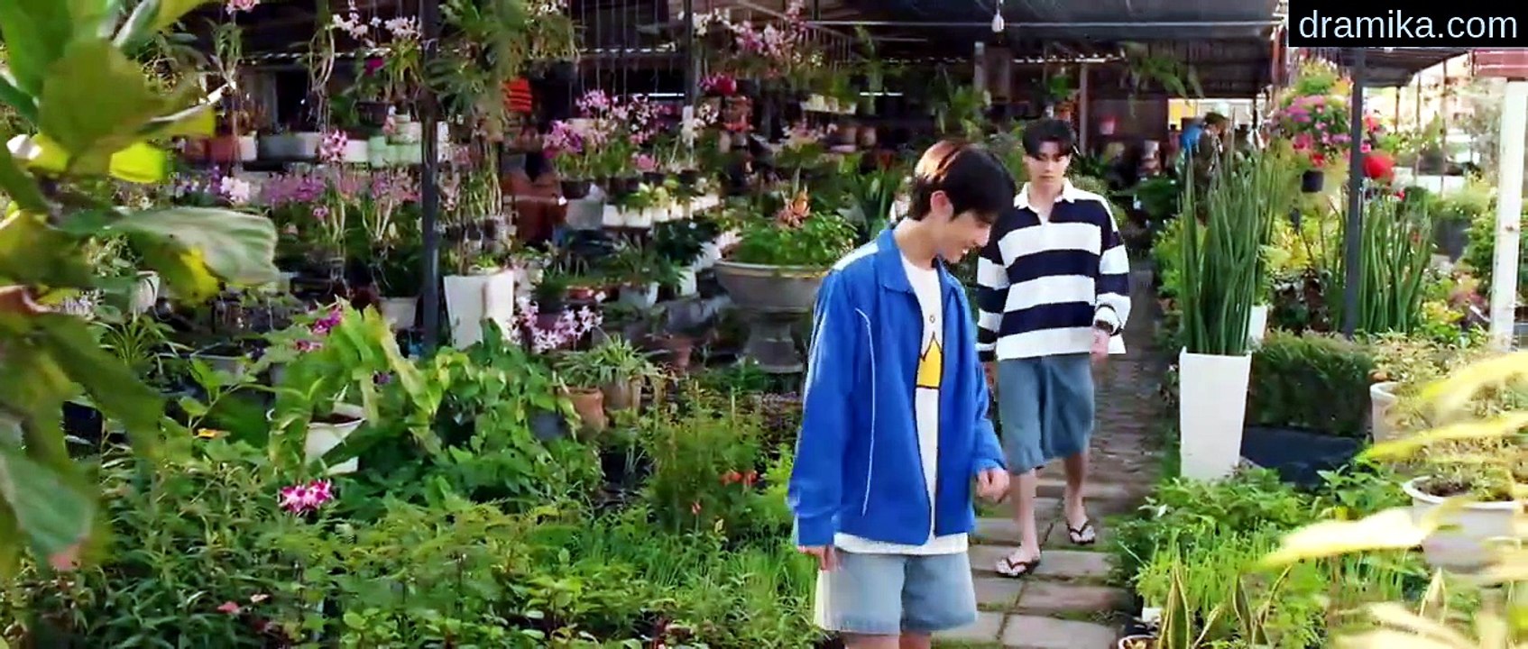 [ENG] EP.5 When Oranges Fall (2026)