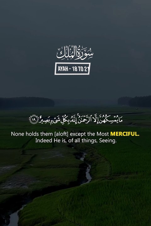 Surah Al Mulk Ayat 18-21 | Beautiful Quran Recitation | Faith Feelings