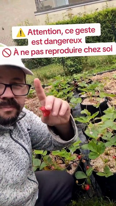 Attention danger au potager familial ! les risques avec nos légumes et fruits.