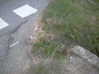 kit athéna en action