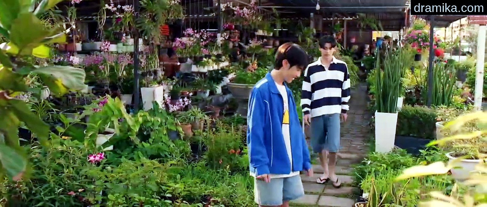 [ENG] EP.5 When Oranges Fall (2026)