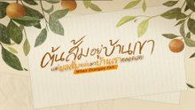 .ตอนที่ 5 (EP.5) วันที่ 10 มิถุนายน 2569