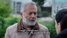 Gelin Capítulo 453 | La Novia | Novela Turca en Español