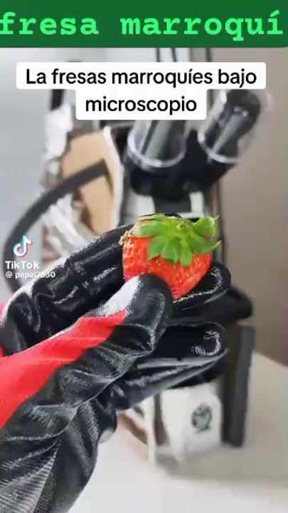 Cuidado