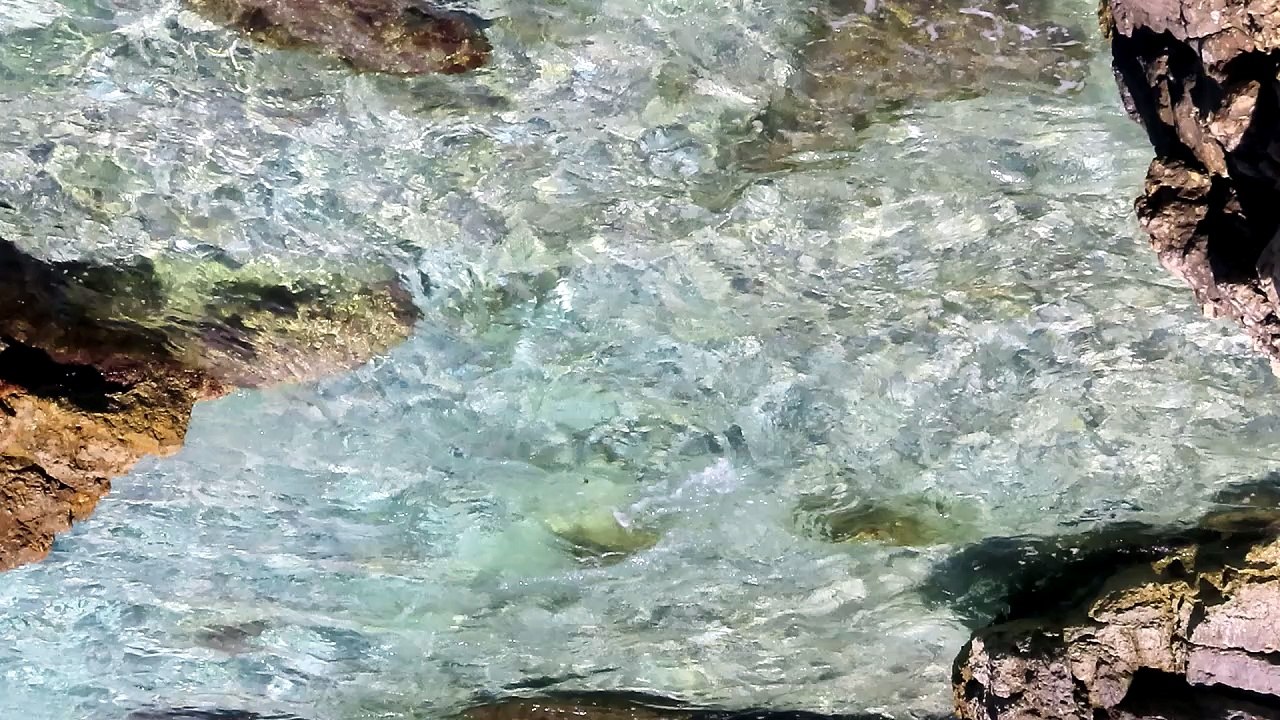 Cristal de mer 🦞