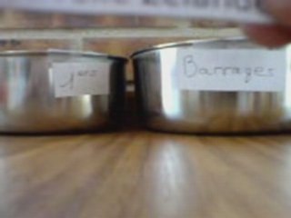 Poules de la Coupe du Monde 2008 xvmanager