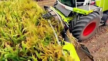 China Agriculture Machinery