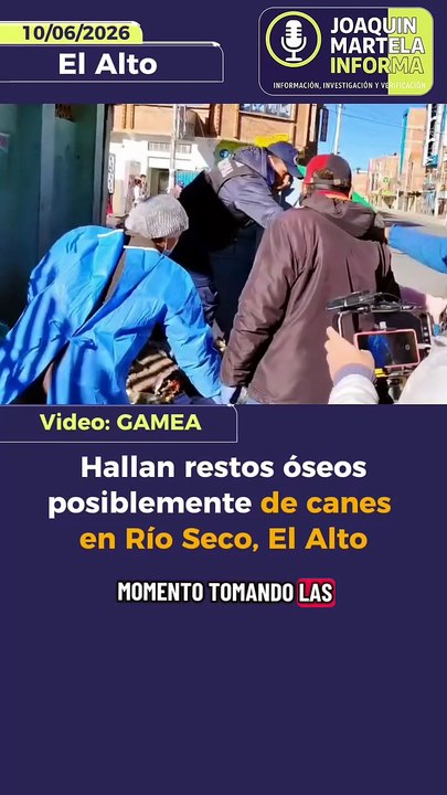 Hallan restos óseos posiblemente de canes en Río Seco, El Alto