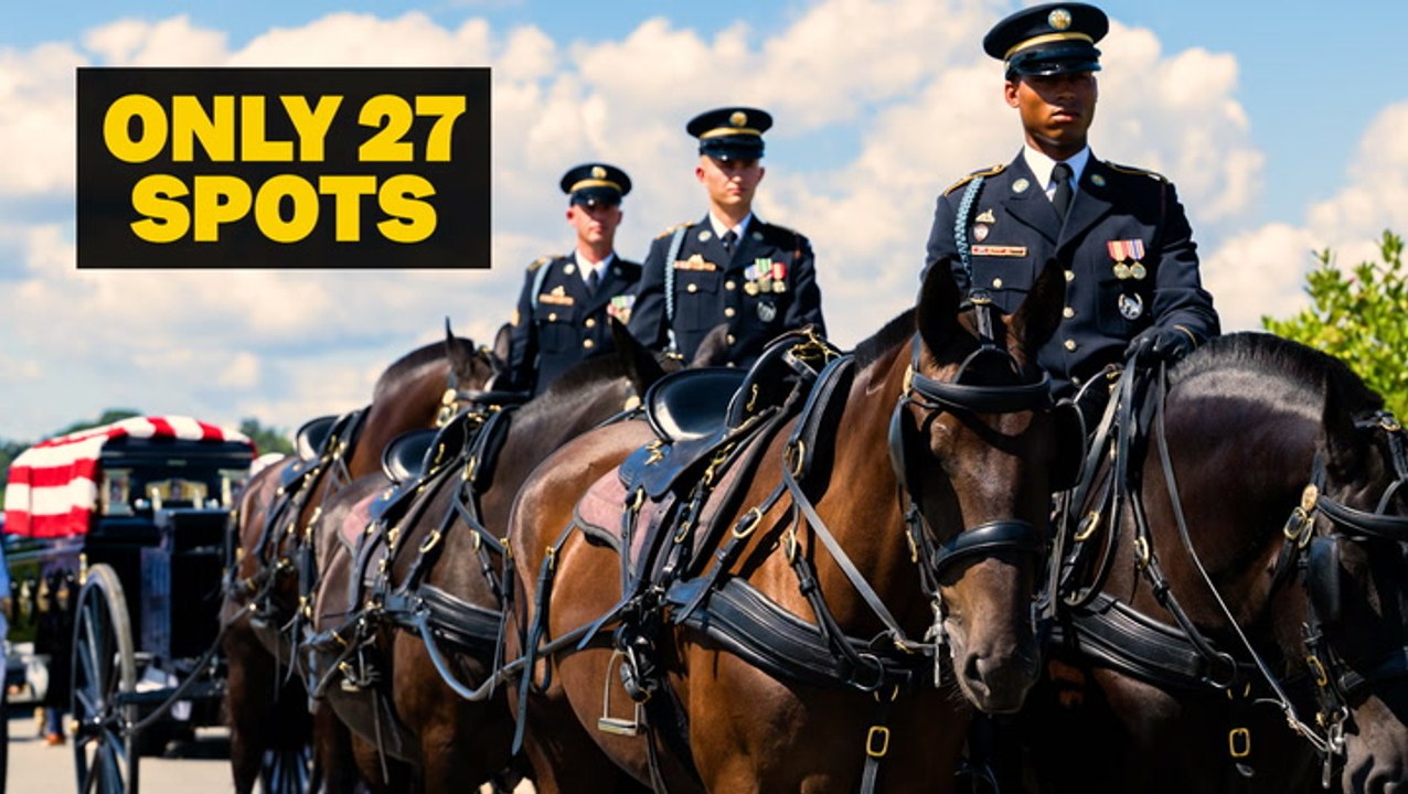 What It Takes To Be An Army Horse Soldier At Arlington Cemetery