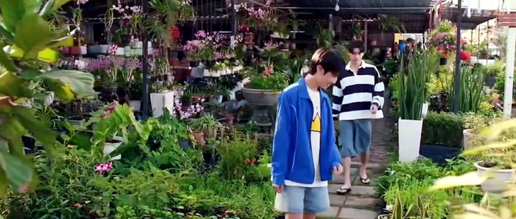 Ep 5 When Oranges Fall