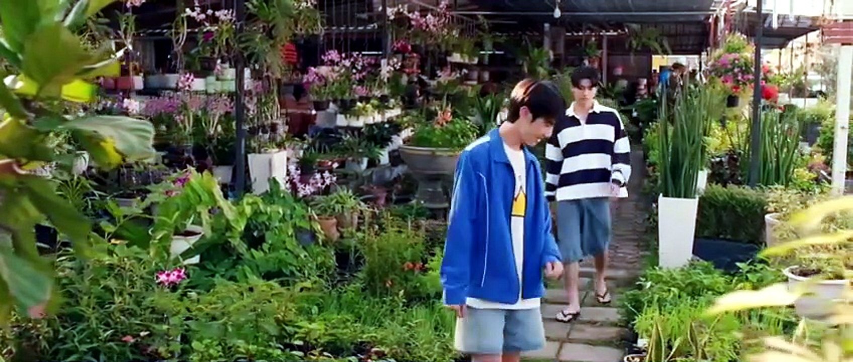 When Oranges Fall Ep 5 | English Sub