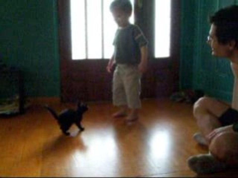 minou minou